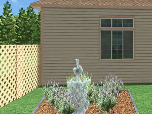 - Kombinacija stubastog bora, ruzmarina i lavandi