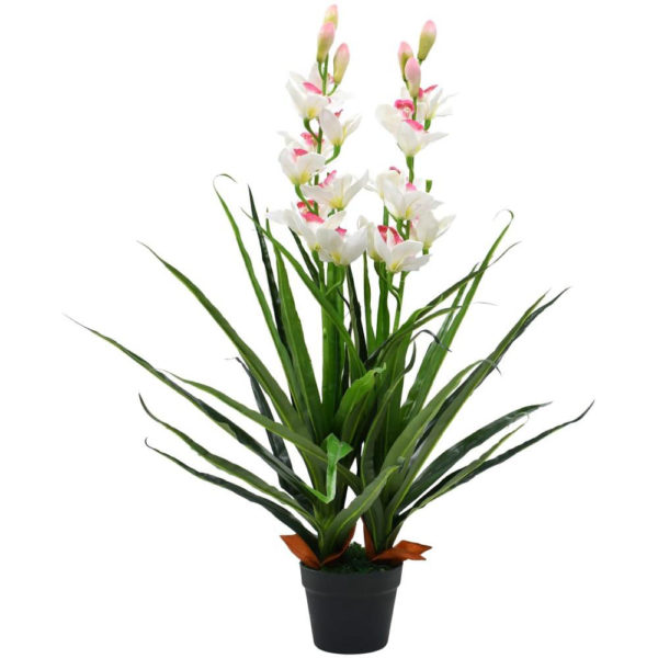 SOBNE BILJKE, SOBNE CVETNICE, - Cimbidijum orhideje