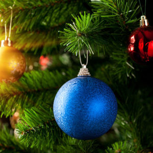 Božićne - Novogodišnje jelke - Picea abies
